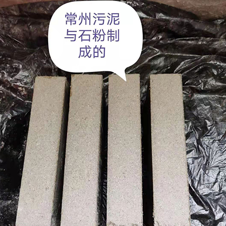 东莞丽水全自动码砖机-干法磷石膏砌块砖生产